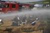 20130804_Brand Traktor_Schulleredt (67).jpg